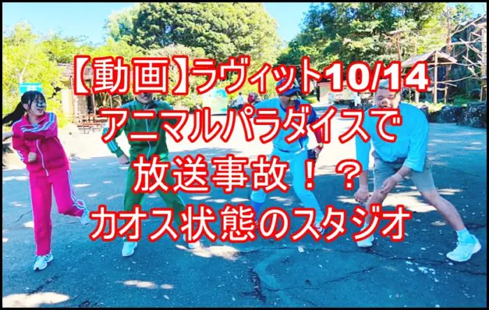 【動画】ラヴィット/アニマルパラダイスで放送事故！？カオス状態のスタジオ