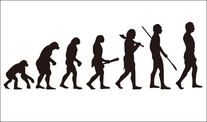 人類の進化のイラスト